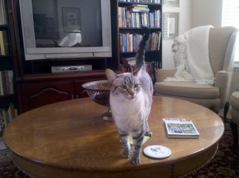 278347_1727479286079_2214755_o