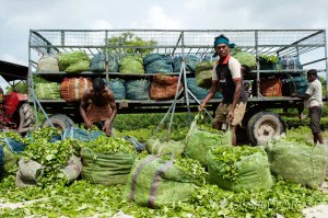 gospel-for-asia-RT10-04292